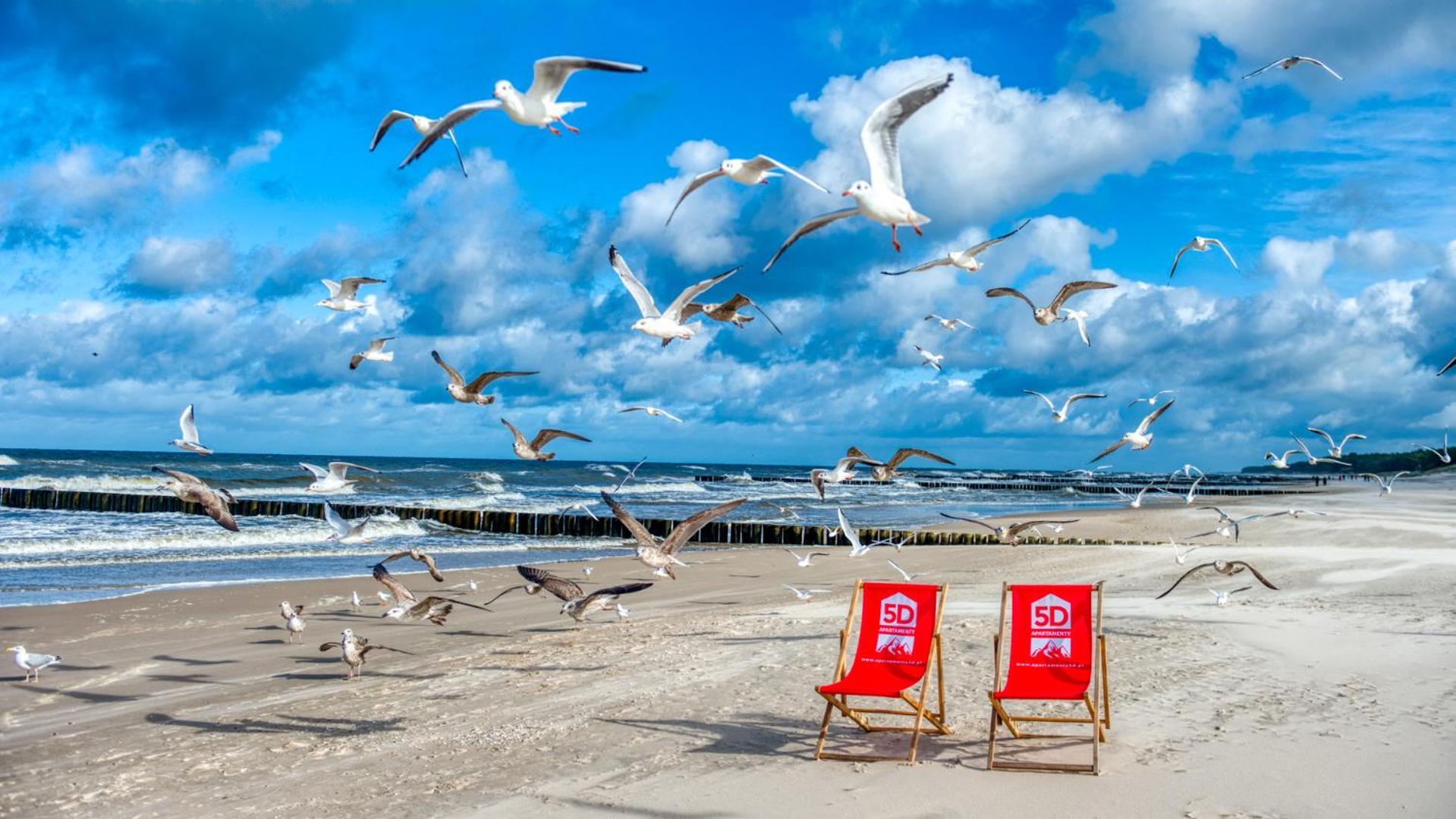 Rezydencja Niechorze 304 Przy Plazy - 5D Apartamenty Dış mekan fotoğraf
